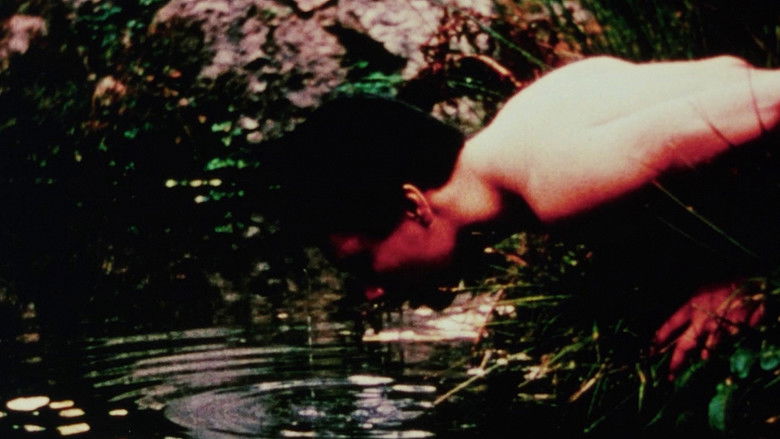 кадр из фильма Jerovi