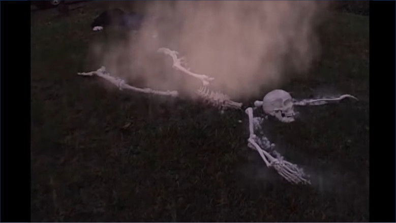 кадр из фильма Shower of Screams