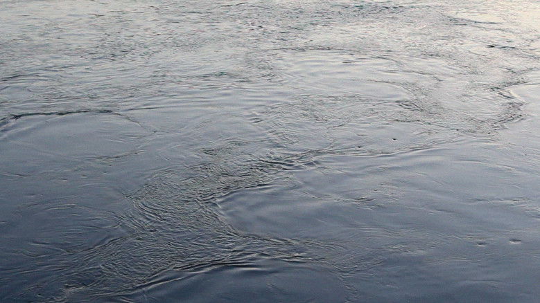 Agora vou. Adeus, mãe.