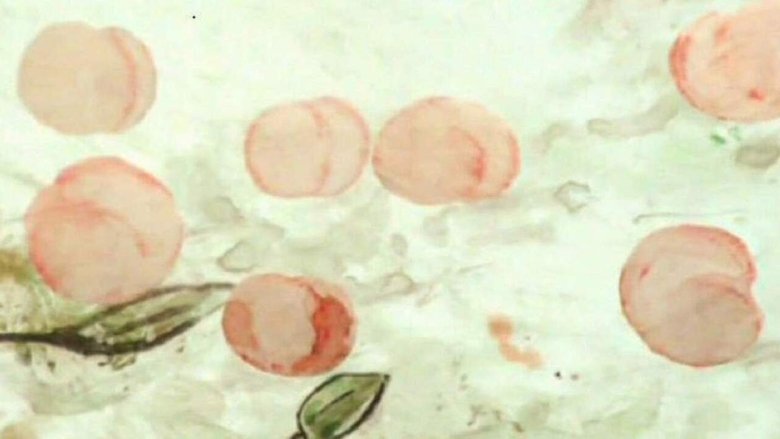 кадр из фильма Жук, корабль, абрикос