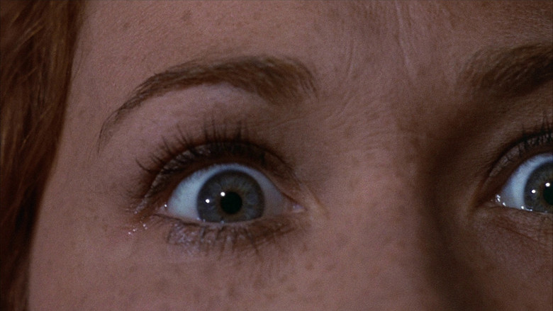 кадр из фильма Пассажир дождя