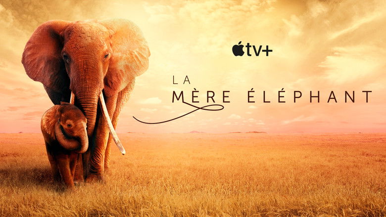 кадр из фильма Королева слонов