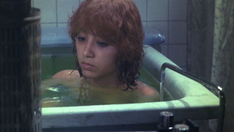 кадр из фильма 積木くずし