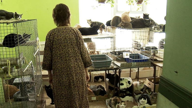 кадр из фильма Cat Ladies