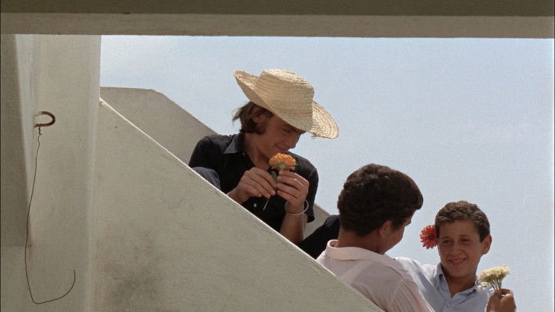 кадр из фильма Le Clair de terre