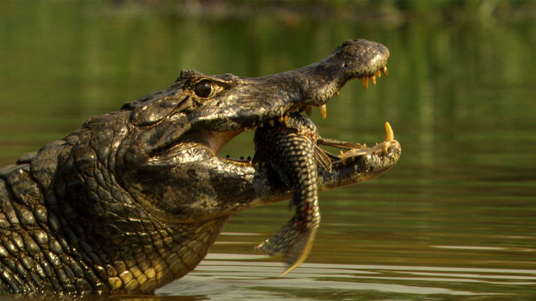 Planet of the Reptiles