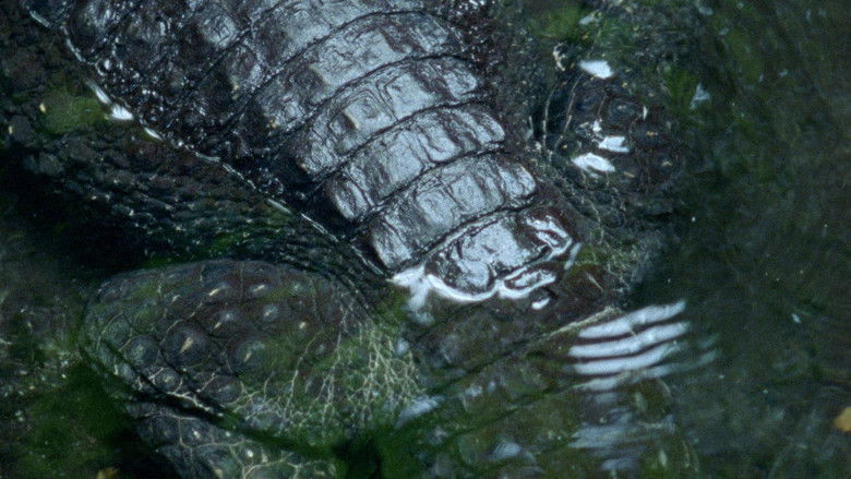 кадр из фильма Nido de Cocodrilo