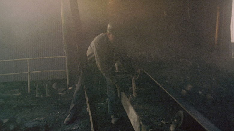 кадр из фильма Округ Харлан, США