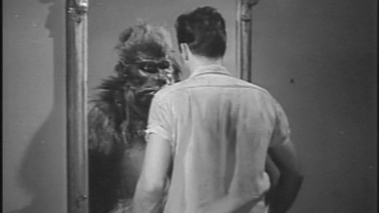 кадр из фильма Bride of the Gorilla