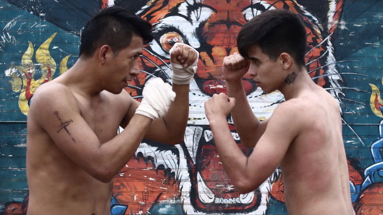 кадр из фильма Django: En el nombre del hijo