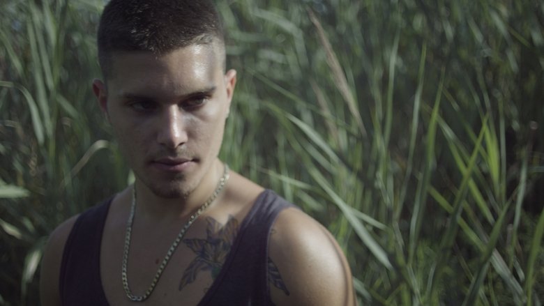 кадр из фильма Похоже на любовь