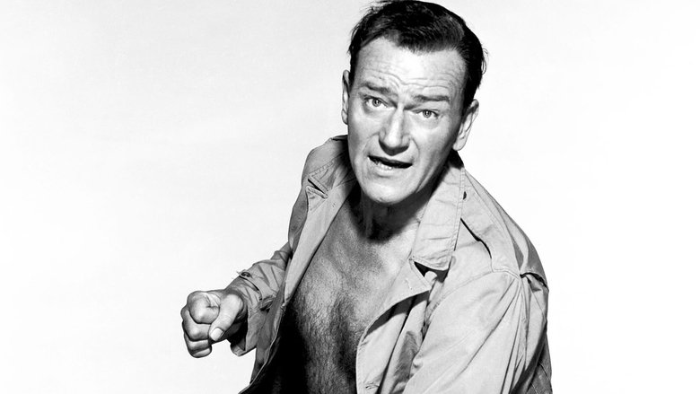 кадр из фильма Большой Джим МакЛэйн