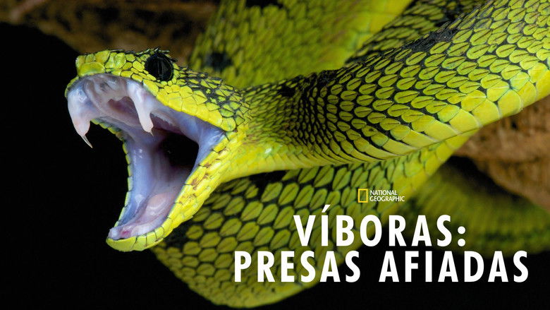 кадр из фильма Ultimate Viper: Fear the Fang