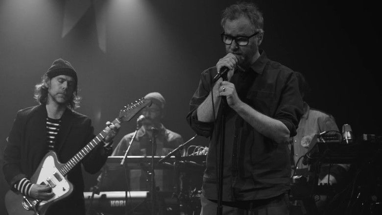 The National - Live at Bearsville Theater
