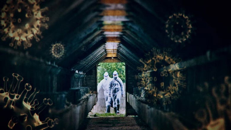 Fulgte minkavlere myndighedernes anbefalinger?