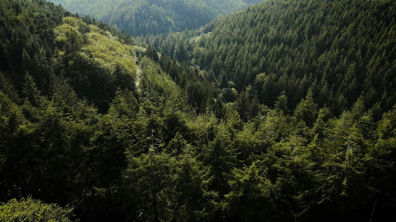 кадр из фильма Dorians