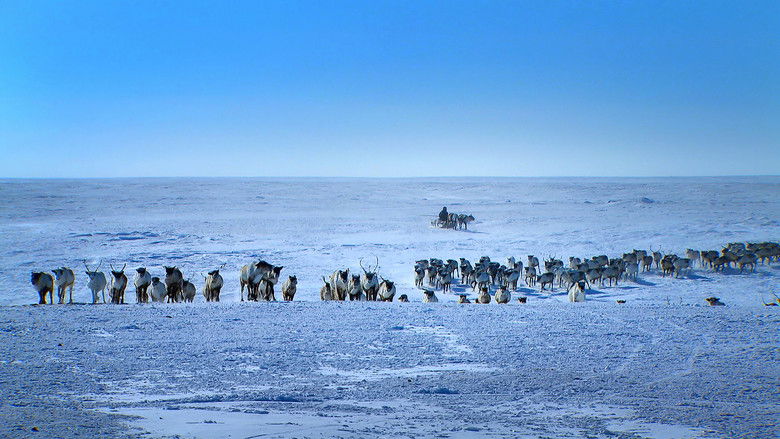 кадр из фильма Russlands versteckte Paradiese