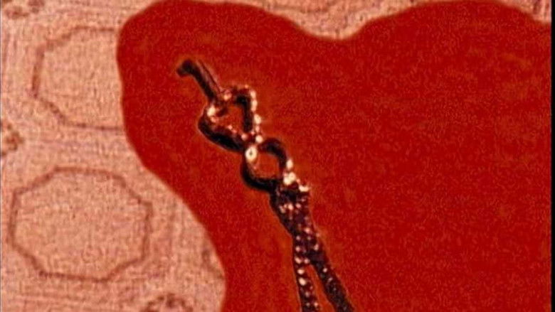 кадр из фильма 地獄の血みどろマッスルビルダ