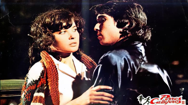 кадр из фильма Perros callejeros II