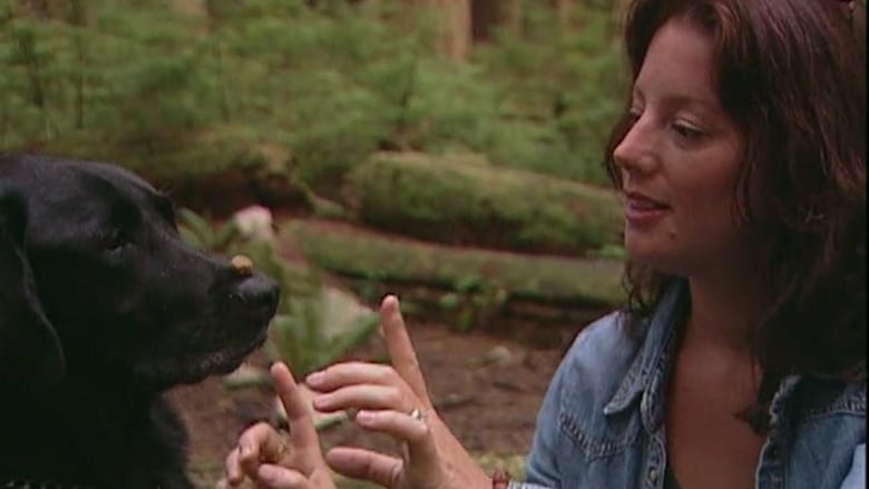 кадр из фильма Sarah McLachlan: A Life of Music