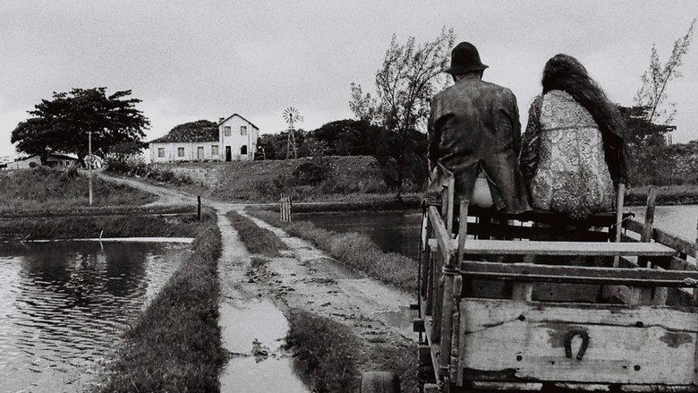 кадр из фильма Sudoeste