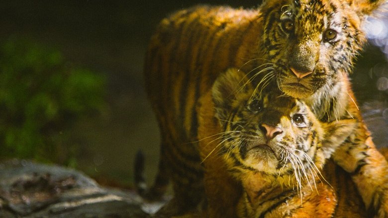 кадр из фильма Два брата