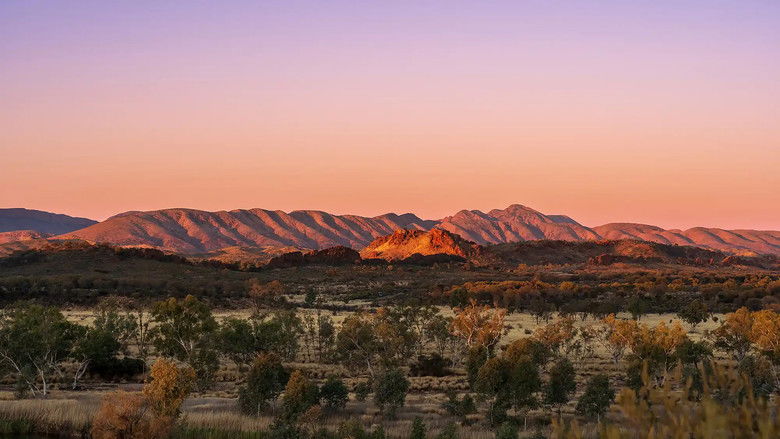 кадр из фильма Wolfram