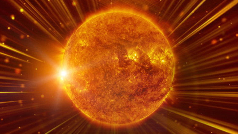 кадр из фильма Наше яростное Солнце