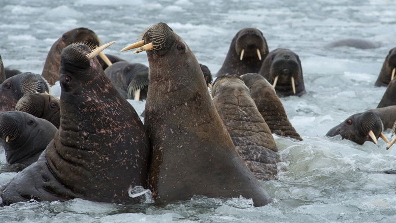 кадр из фильма Behind Russia's Frozen Curtain