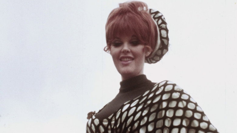 кадр из фильма The Female Bunch