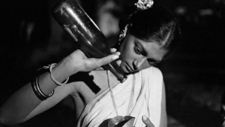 кадр из фильма Дни и ночи в лесу