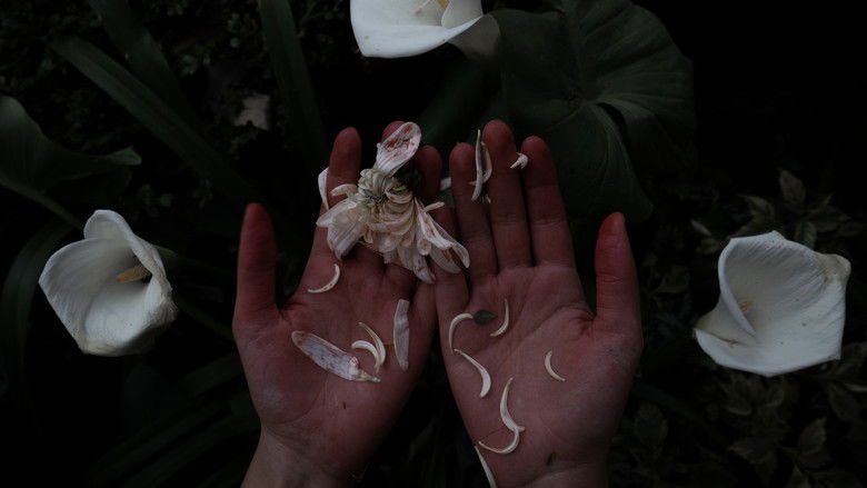 кадр из фильма Pétalos de leche