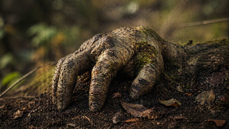 кадр из фильма The Hand