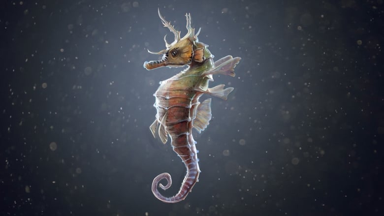 кадр из фильма The Seahorse Trainer