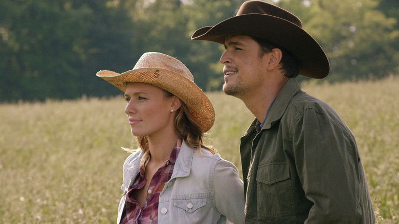 кадр из фильма Love Finds You in Valentine