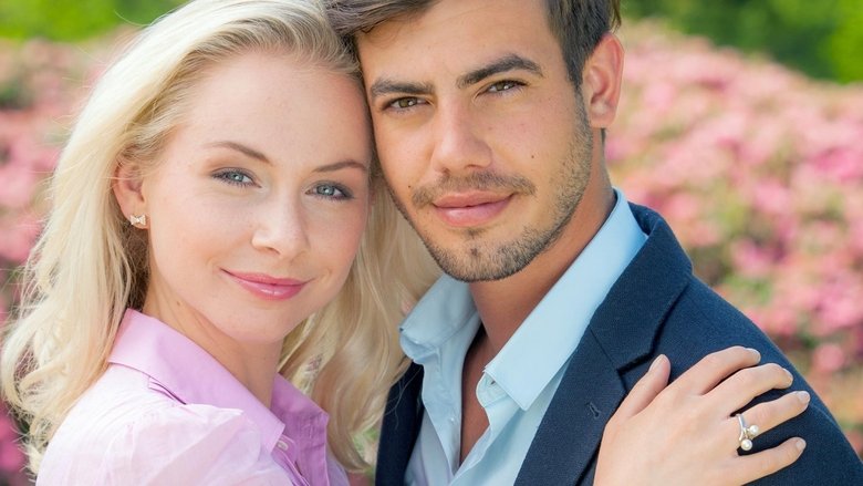 кадр из фильма Rosamunde Pilcher: Ex und Liebe