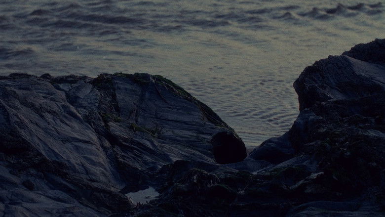 кадр из фильма Lucidity