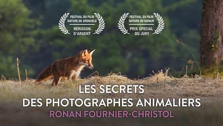 кадр из фильма Les secrets des photographes animaliers