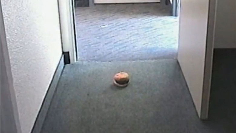 кадр из фильма Hamburger Dad