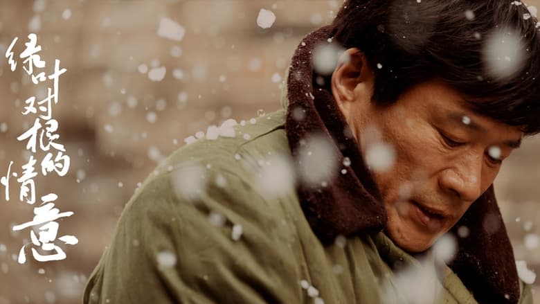 кадр из фильма 绿叶对根的情意