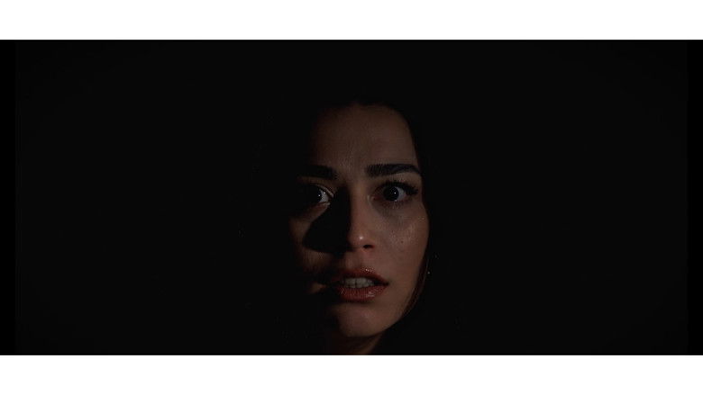 кадр из фильма The Curtain of Emotions