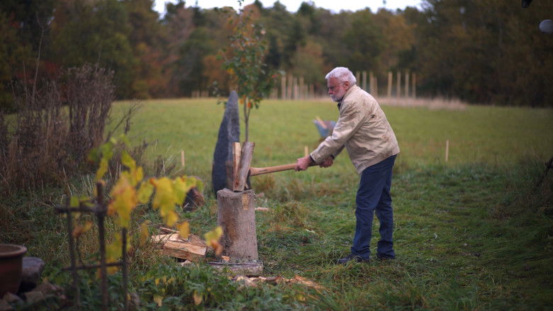 кадр из фильма Hvor Er Du?