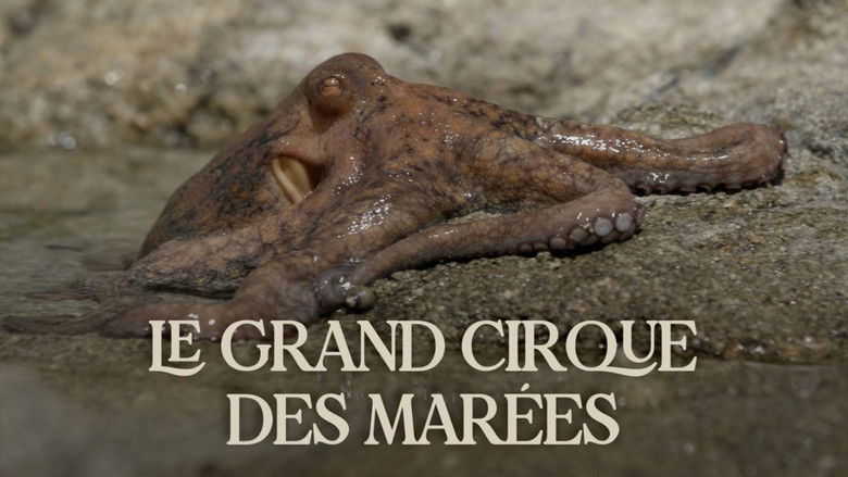 кадр из фильма Le grand cirque des marées