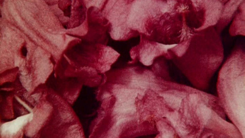 кадр из фильма Bark-Rind