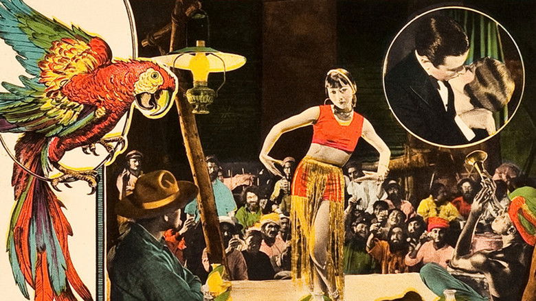 Китайский попугай