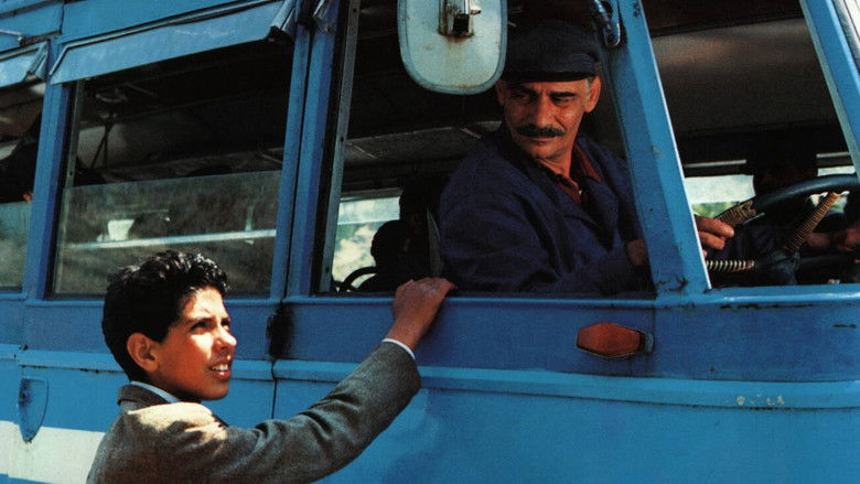 кадр из фильма Мальчик из Калабрии