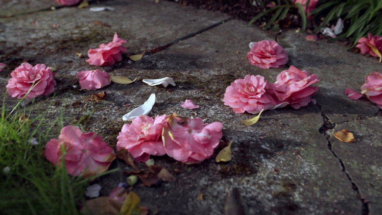 кадр из фильма Cuando esto pase