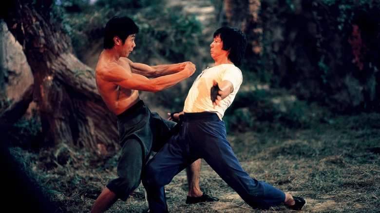 кадр из фильма Боец в стиле обезьяны