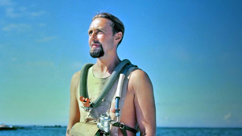 кадр из фильма Hans Hass – Pionier der Tiefe