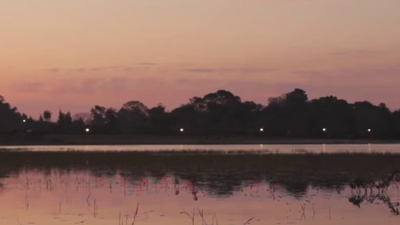 кадр из фильма La patria de todos los tarros de colores